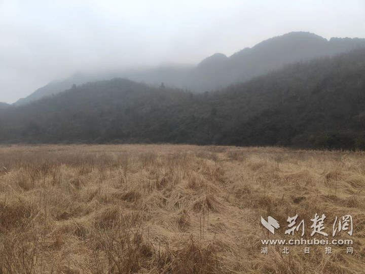 鹤峰自规局2.png.png