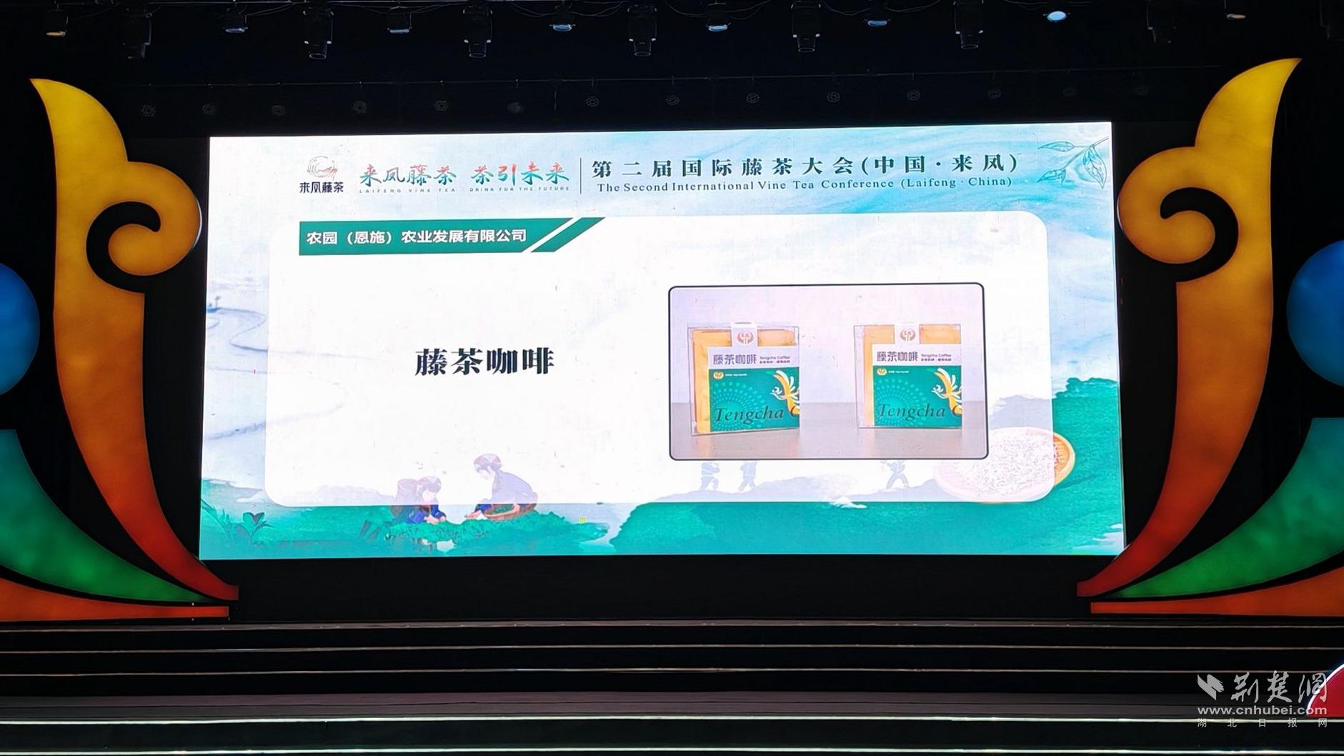 1e570157531546c7c59325e9d2a94aef_1881X1058_20240802215849