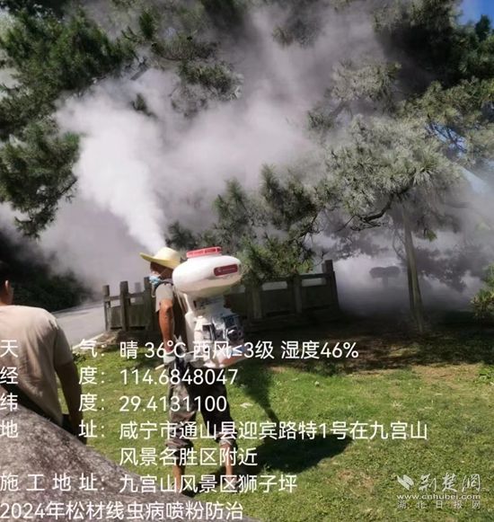 微信图片_20240810091608.jpg.jpg
