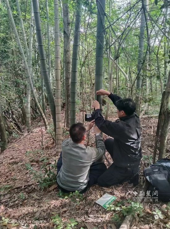 微信图片_20240810091535.jpg.jpg