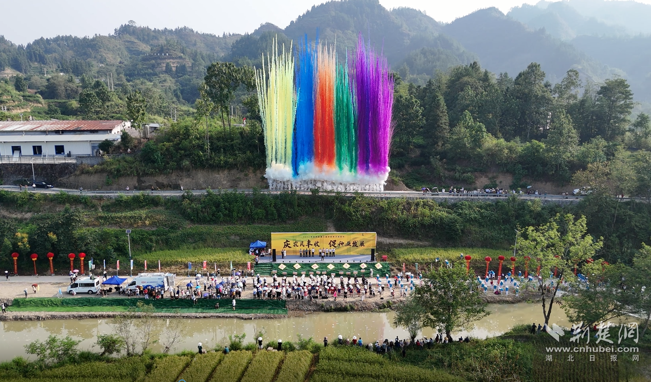 图片2.png.png