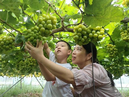 微信图片_20240902232126.jpg.jpg