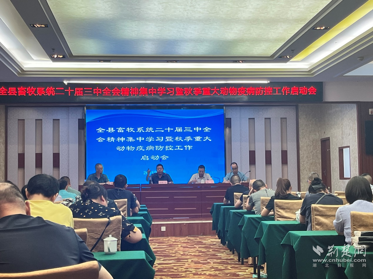 图片1(1).png.png