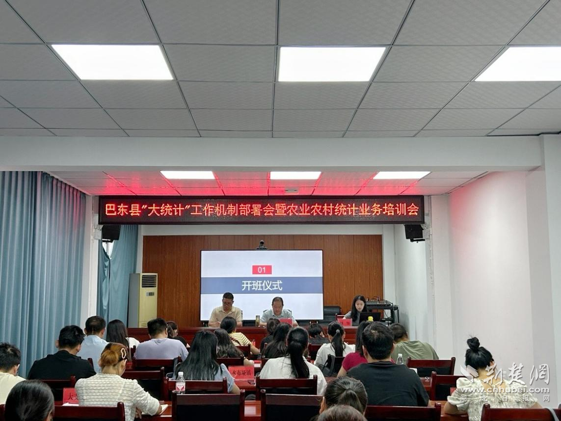 巴东统计1.png.png