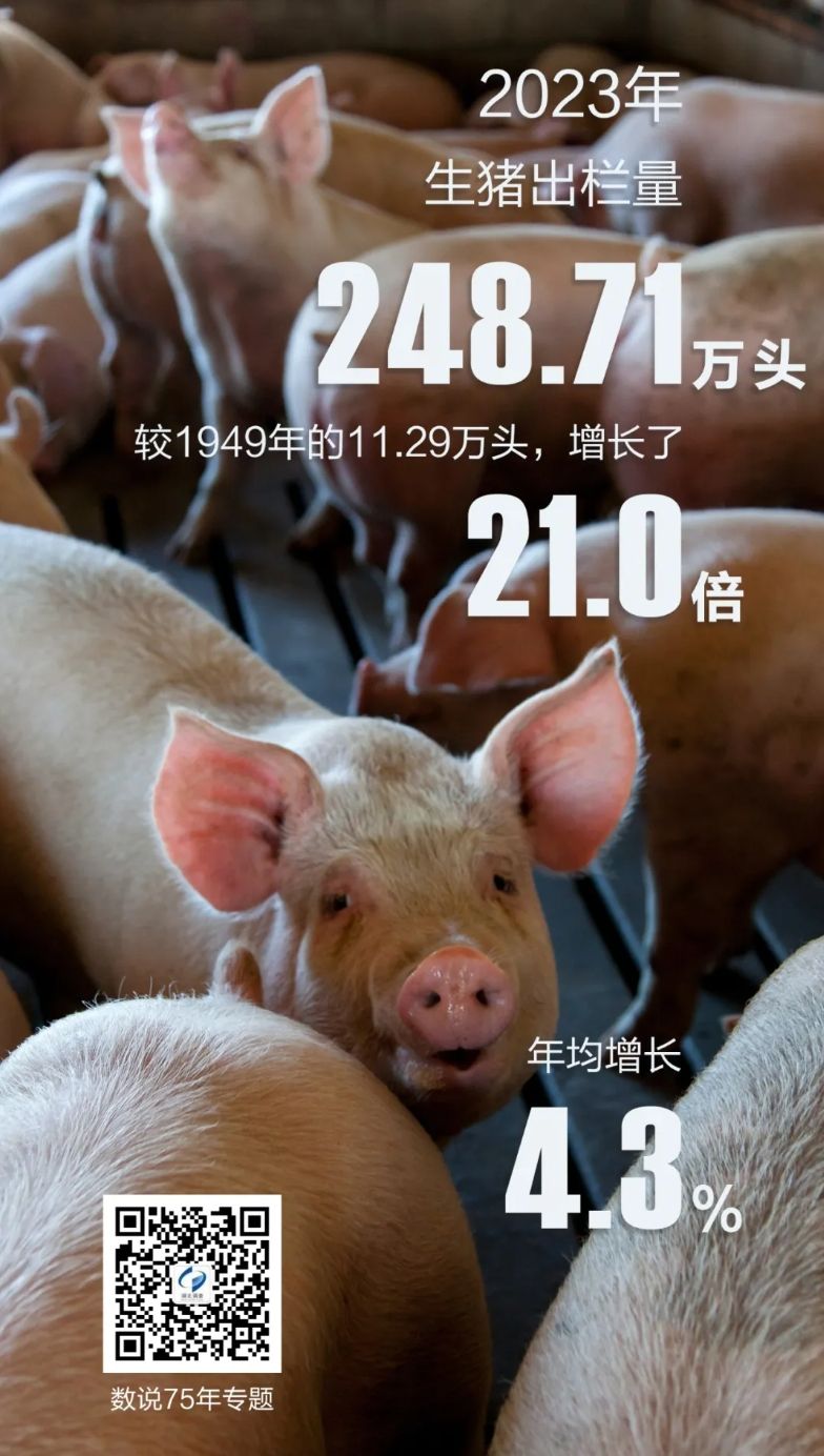 微信截图_20240914092347.png.png