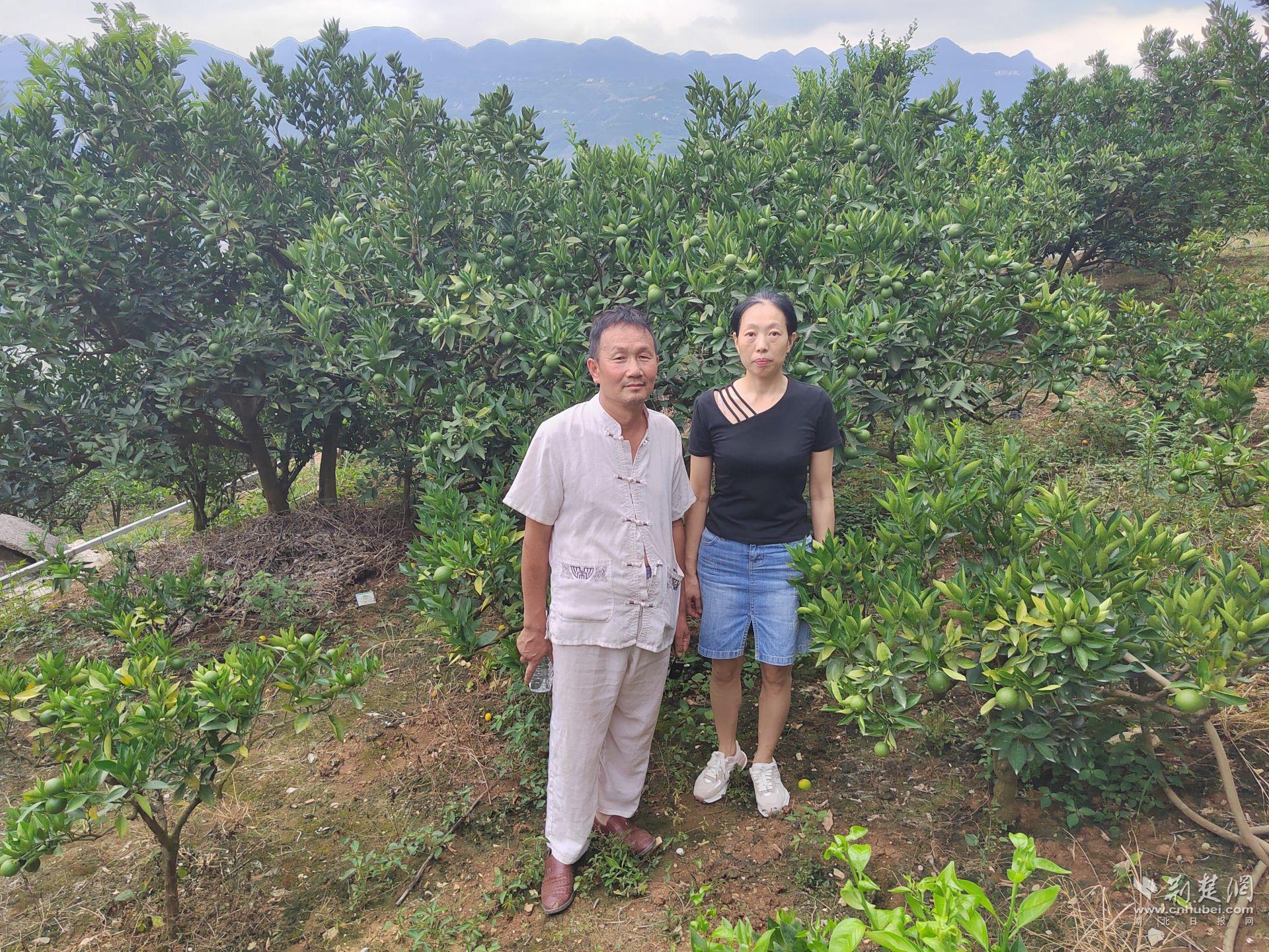 零工驿站工作人员入户考察柑橘园.jpg.jpg