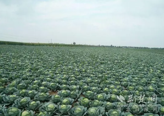 微信图片_20241111104337.png.png