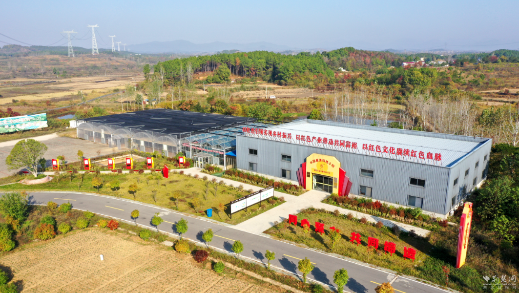 微信图片_20241114142005_副本.png.png