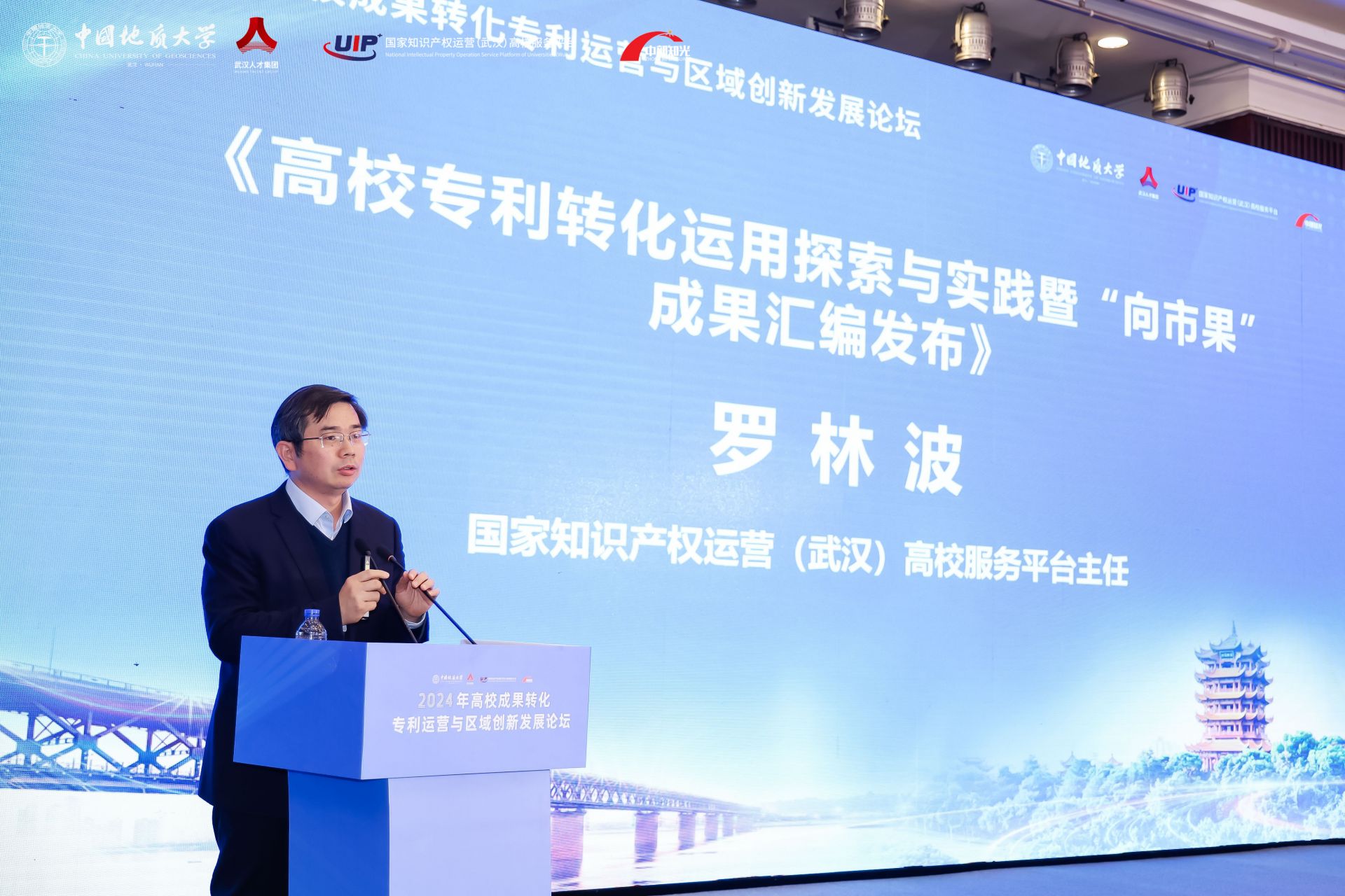 国家知识产权运营（武汉）高校服务平台负责人罗林波.jpg.jpg