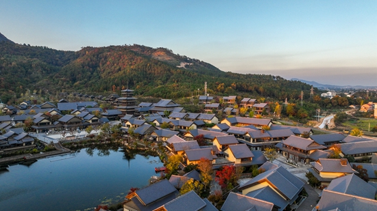 东山问梅村 (2)_副本.jpg