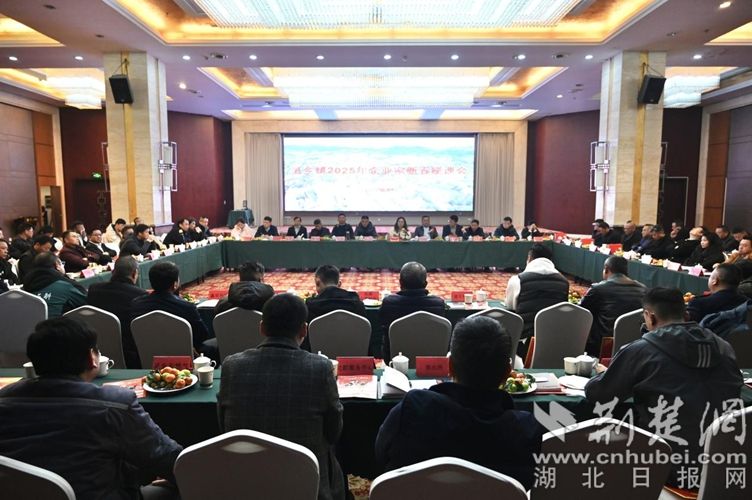 图片1.jpg.jpg