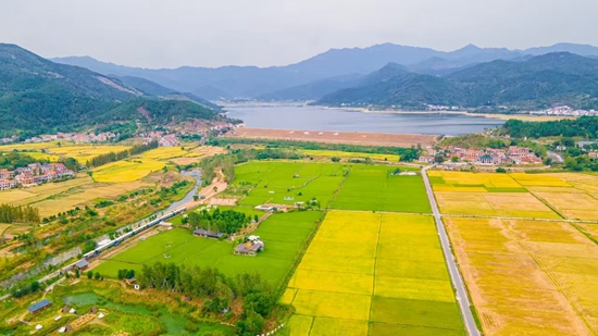 美丽大河_副本.jpg