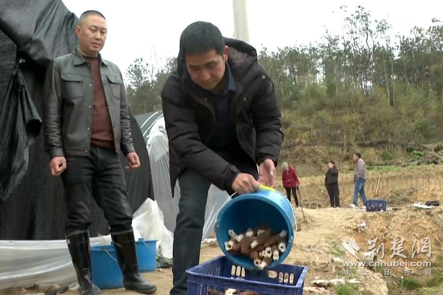 微信图片_20250219142620.jpg
