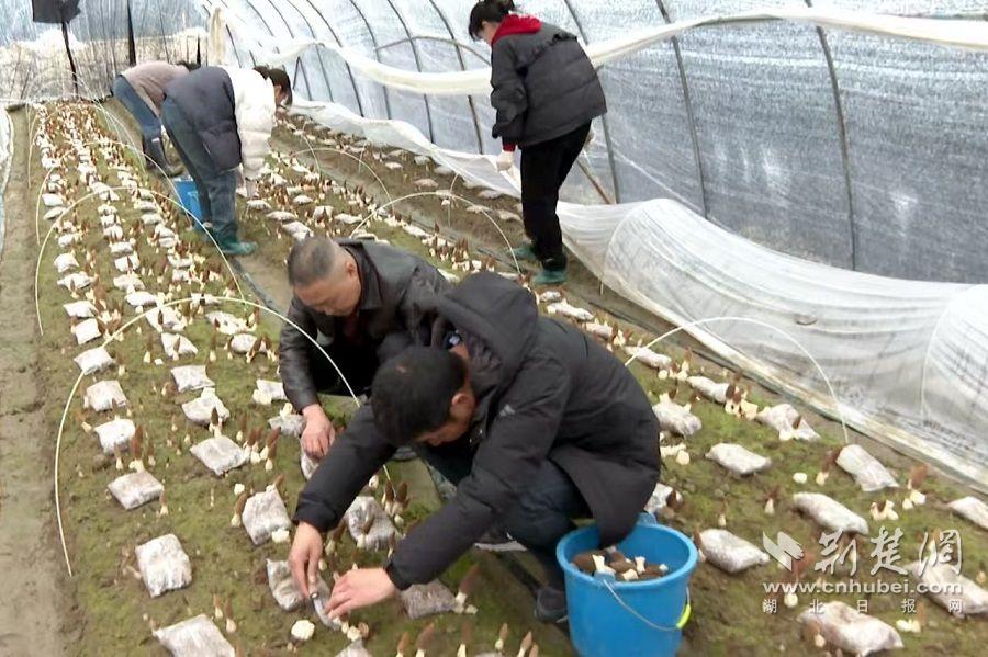 微信图片_20250219142614.jpg.jpg