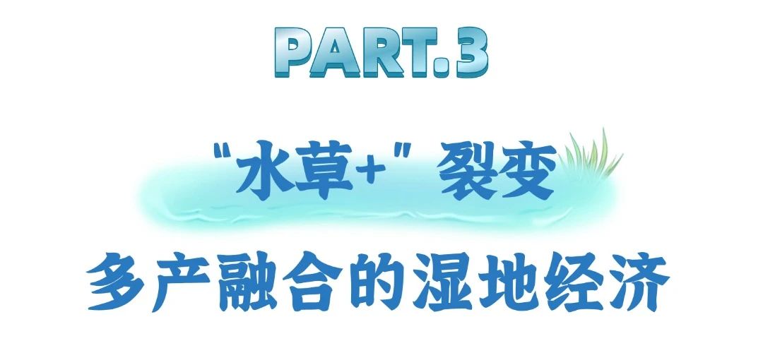 “一切天成”绘就梁子湖湿地新画卷——解码湖北蓄水量最大湖泊的绿色财富密码美嘉体育(图7)