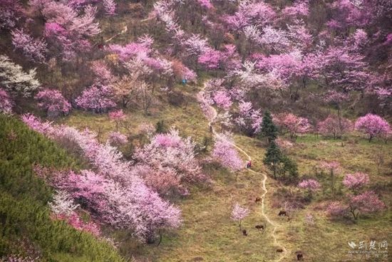 龙泉山.jpg.jpg