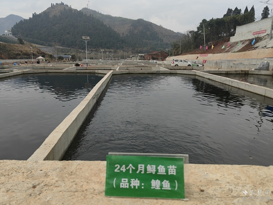 微信图片_20250303115625.jpg