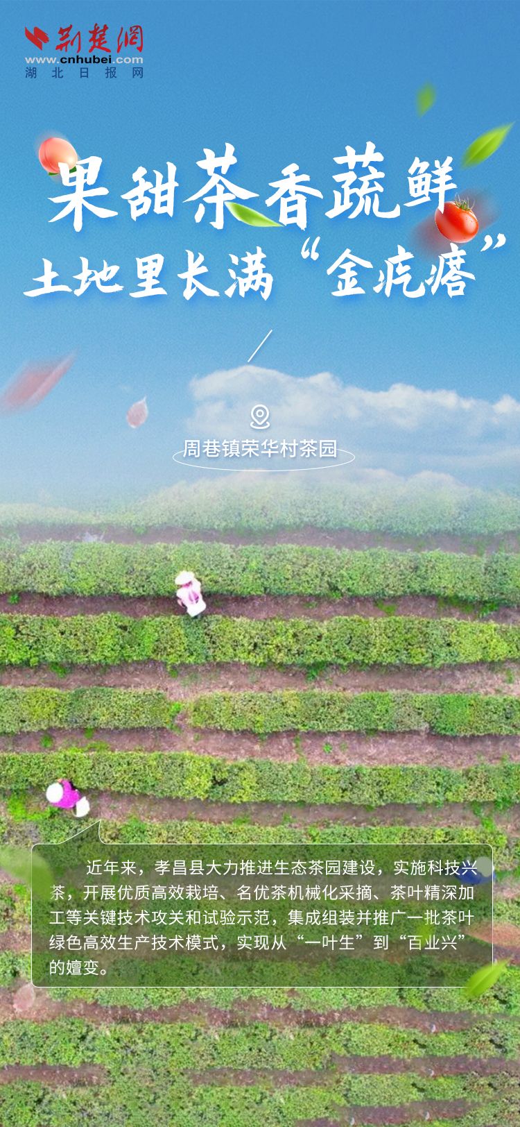 海报4.jpg.jpg