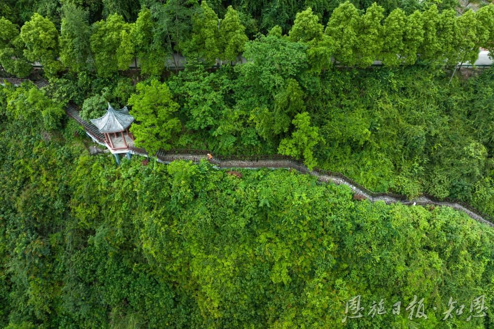 以绿为笔绘新篇——宣恩县生态环境保护泛亚电竞入口工作综述(图2)