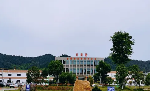 必一运动：科技赋能擎起产业新未来——宜昌创新驱动助推新型工业化进阶跃升(图4)