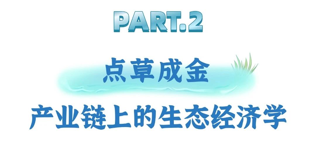 “一切天成”绘就梁子湖湿地新画卷——解码湖北蓄水量最大湖泊的绿色财富密码美嘉体育(图5)