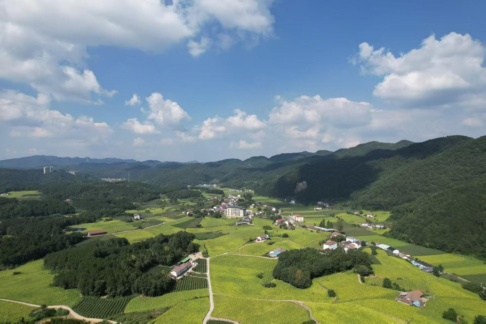 兴山：一个山区亿元村的共富暗码