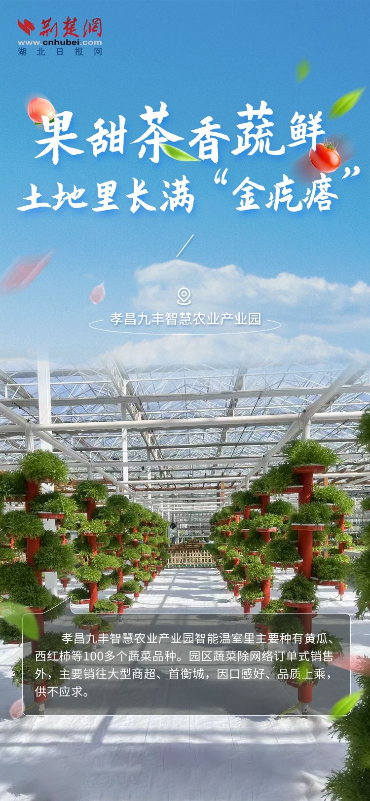 海报6.jpg.jpg