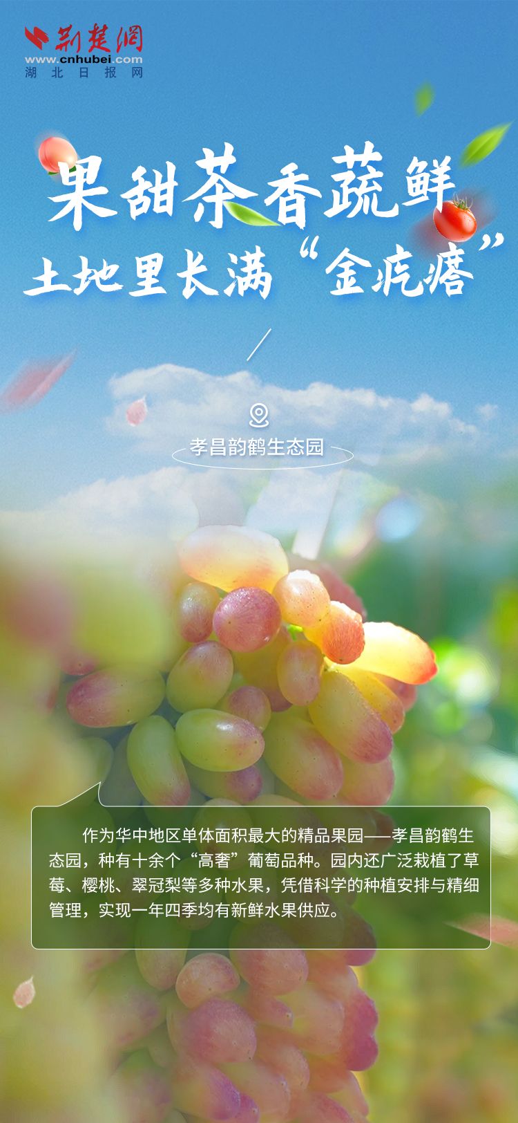 海报3.jpg.jpg