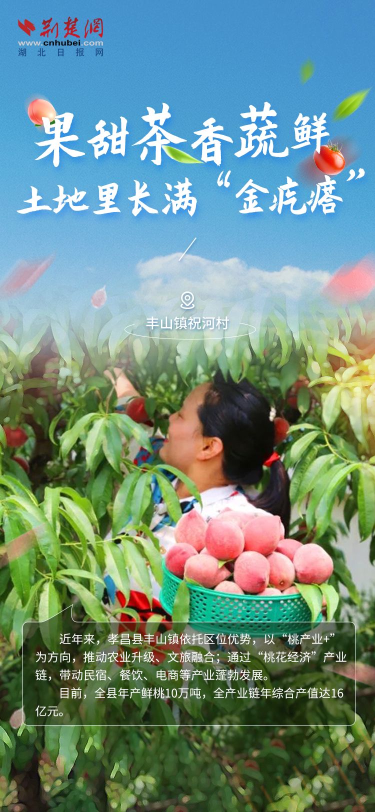海报2.jpg.jpg