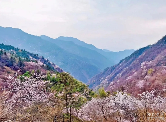黄袍山.jpg