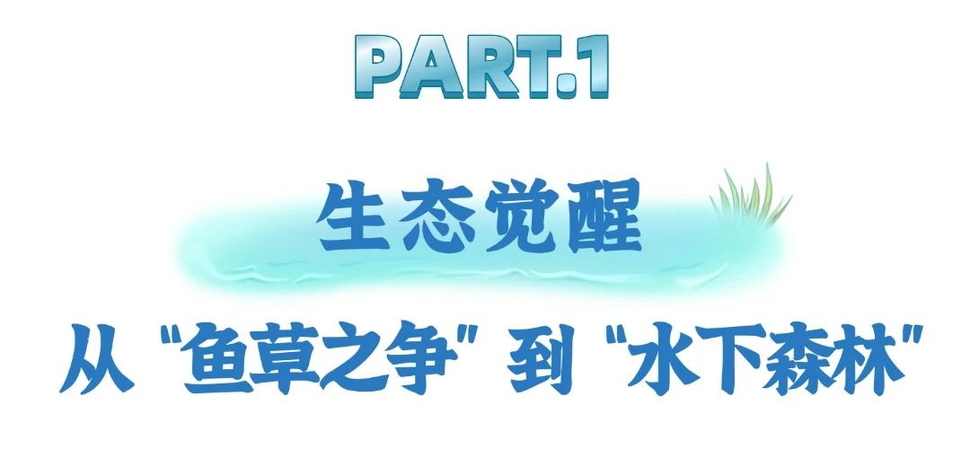 “一切天成”绘就梁子湖湿地新画卷——解码湖北蓄水量最大湖泊的绿色财富密码美嘉体育(图2)