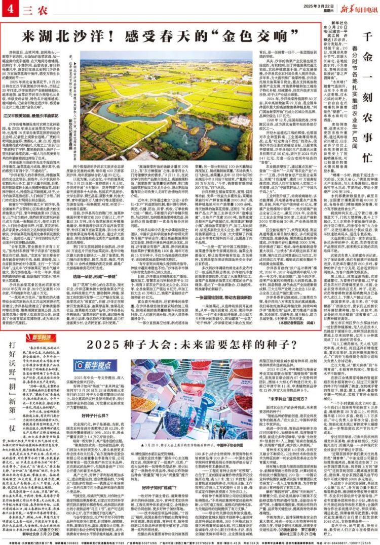 来荆门！感触春天的“金色交响”