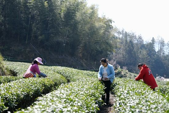 微信图片_20250318213531.jpg.jpg