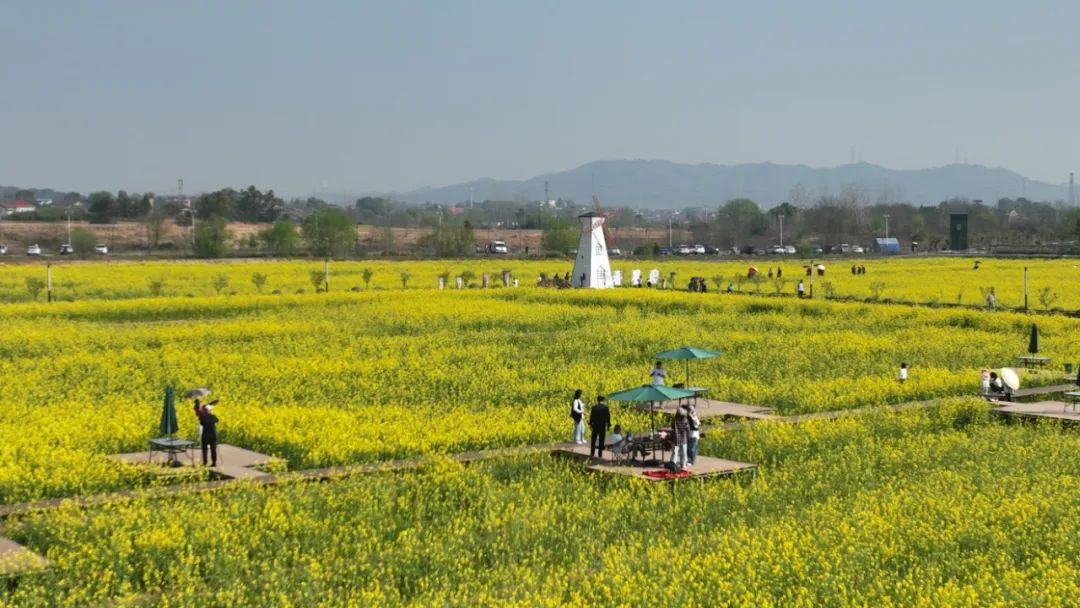 640?wx_fmt=jpeg&from=appmsg&&wxfrom=5&wx_lazy=1&wx_co=1