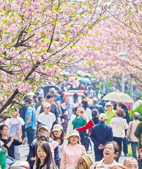 Jingzhou，Hubei：“ Flendle Festival”忽略了“春季经
