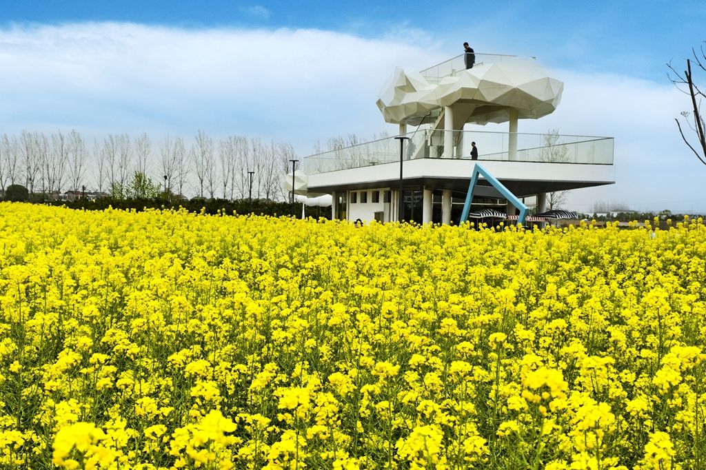 YINGE，YICHANG：玛瑙河上的重要管理，并绘制了农业融合，文化和旅游业的新照片