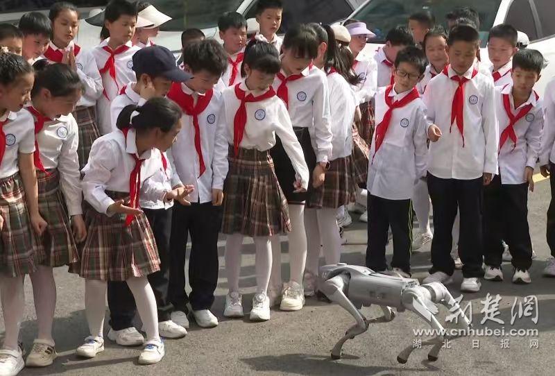 微信图片_20250417151031.jpg.jpg