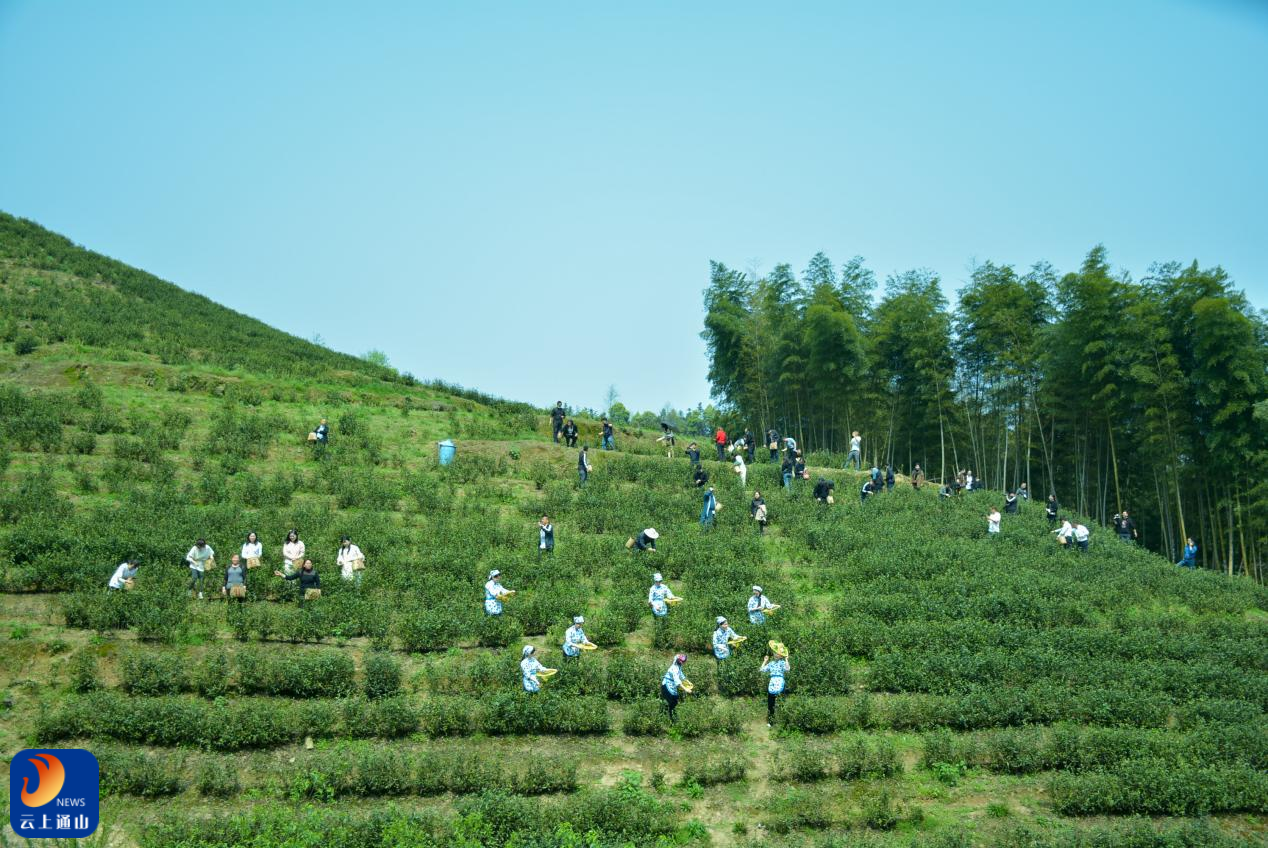 汤山（Tongshan）
