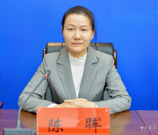 陈晖.jpg