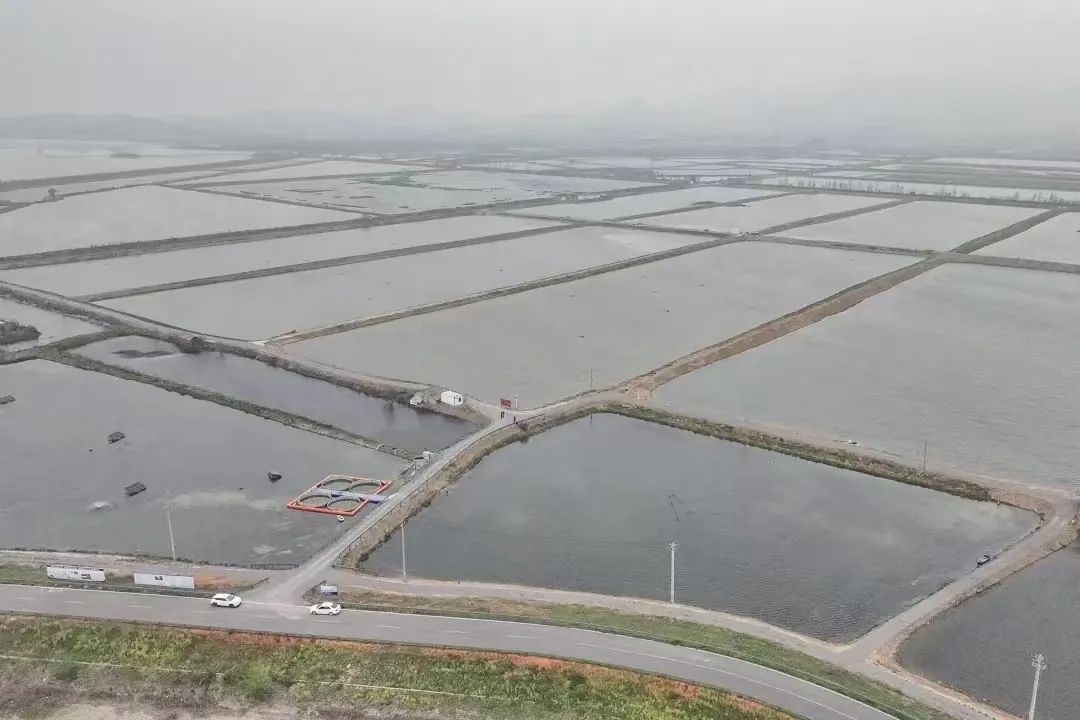 为鱼的身体管理！以济州的“魔鬼教练”给了W