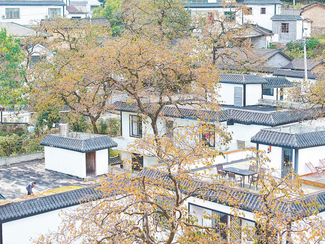 活泼的乡村潮湿，现场