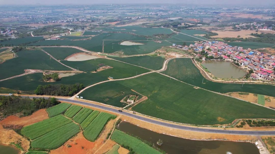 “重组”在农村生活变化中创建了一个新的篇章