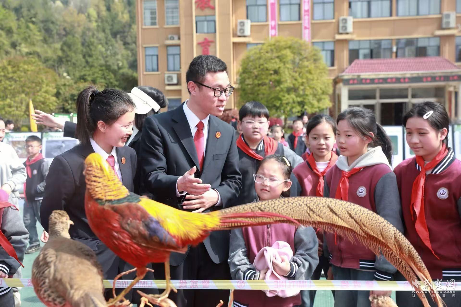 法官向学生科普珍稀鸟类.jpg.jpg
