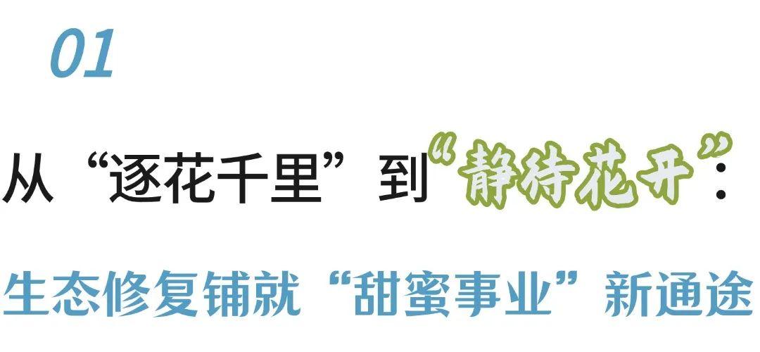 蜜蜂变成了生态“品尝官员”  - 观看埃兹市Tin