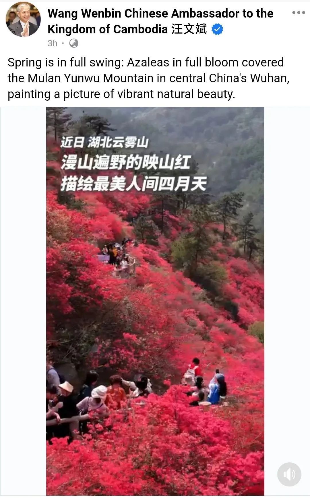 王·温宾（Wang Wenbin）发布了一条消息！武汉的这