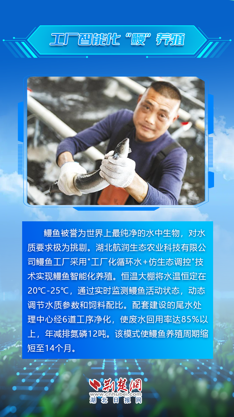 农业向“新”3.png.png
