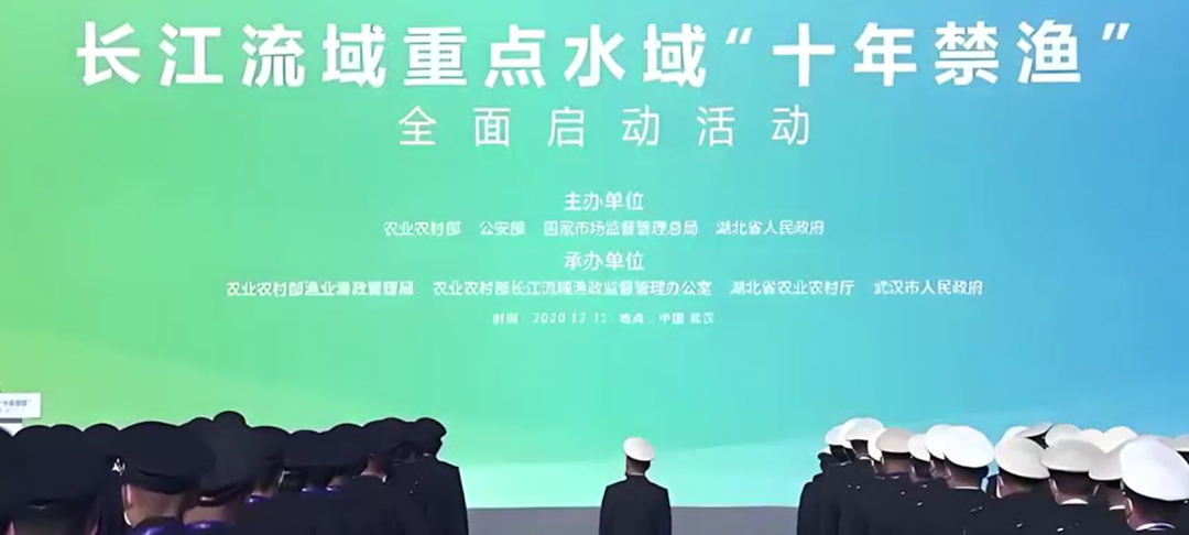 Jingzhou，Hubei：从摇晃到稳定