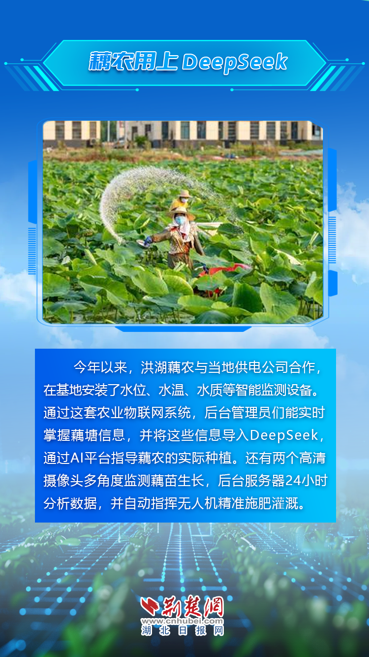 农业向“新”2.png.png