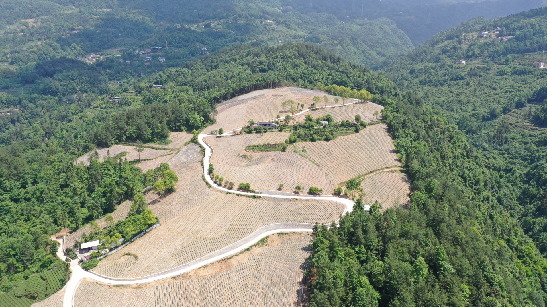 珠山镇全域国土综合整治项目实施鸟瞰图1.png.png