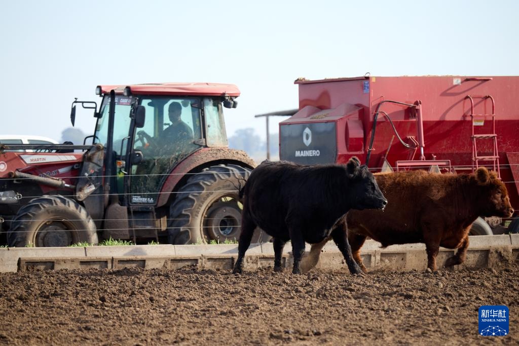 在中国市场上充满了机会-argentine Ranch促进各种出